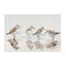 Stupell Industries Sandpipers Shore Reflection Canvas Wall Art Design by Petal Prints Design